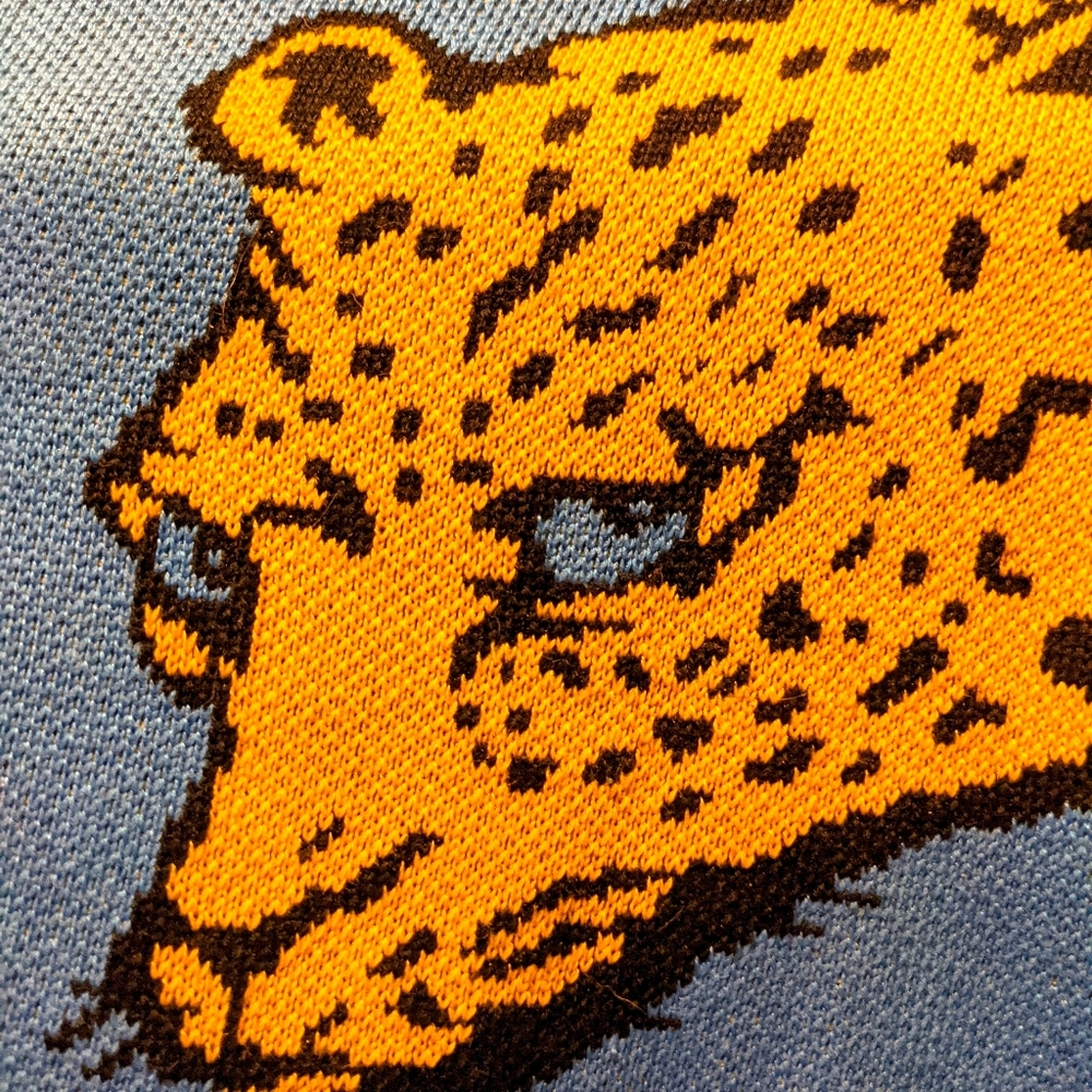Fun Cheetah Sweater